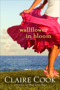 wallflower in bloom 13259643
