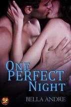 one perfect night 10382150